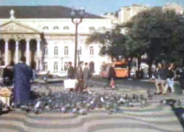 Controlo da população de pombos