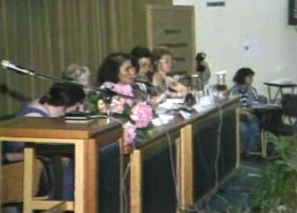 Reunião do Parlamento Europeu Alternativo de Mulheres