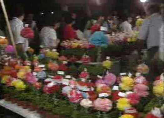 Festas de Santo António