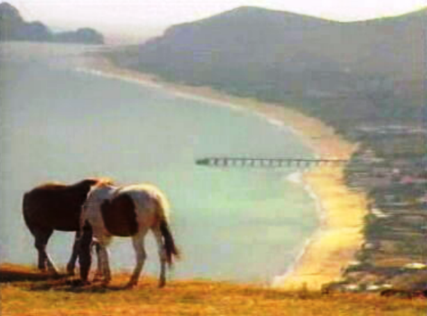 Maré negra em Porto Santo
