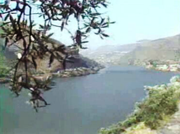 Auscultação pública do PROZED