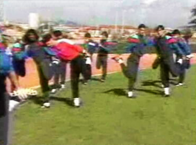 Paulo Futre fora da Seleção nacional