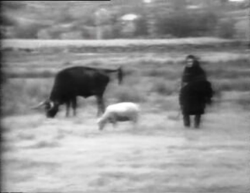 Desenvolvimento agrícola em Vila Real