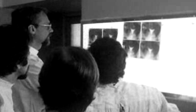 Centenário do Hospital D. Estefânia