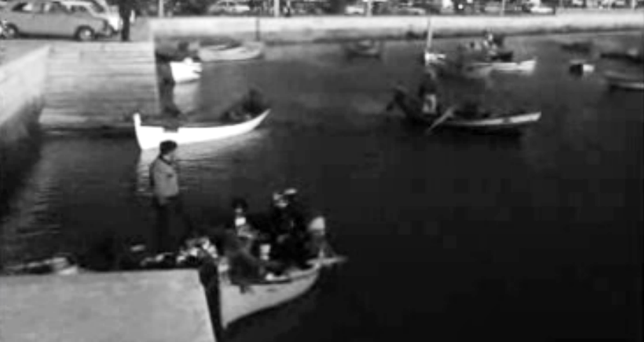 Plano marisqueiro para o litoral sul