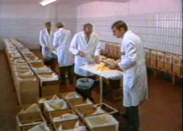 Escoamento de manteiga na CEE