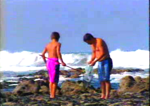 Proibição de moluscos e bivalves