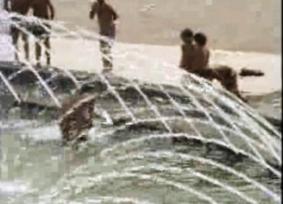 Vaga de calor em Lisboa