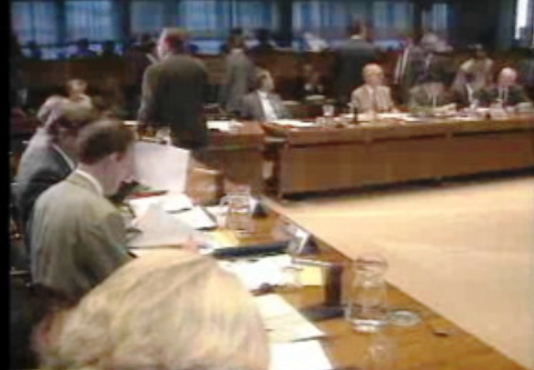 Comissão Consultiva da integração Europeia