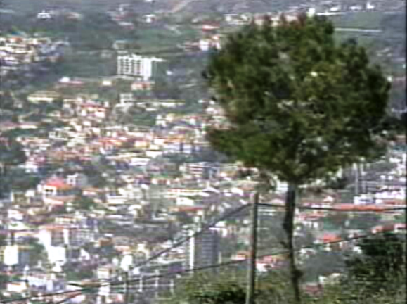 Estudo sobre a população portuguesa