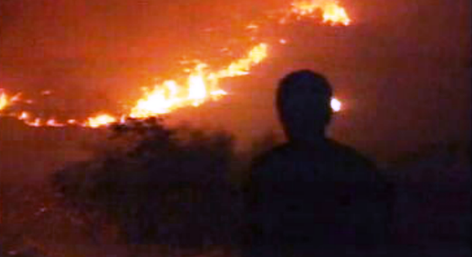 Incêndios florestais em Portugal