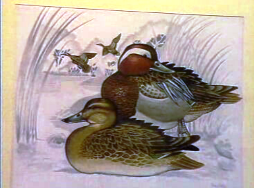 Exposição de José Projecto