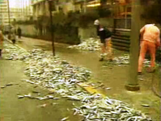 Redução de quotas de pesca da CEE