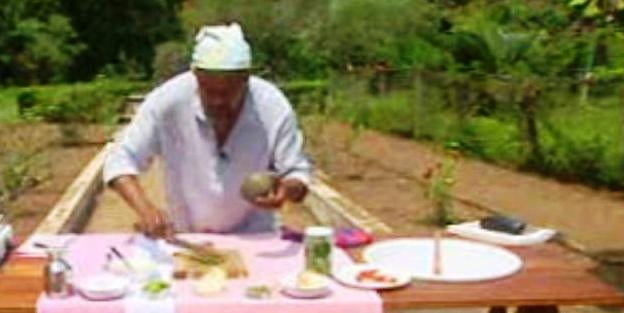 Na Roça com os Tachos