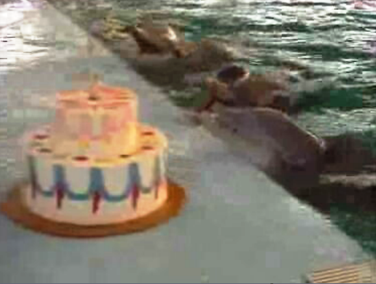 Novidades no Zoo de Lisboa