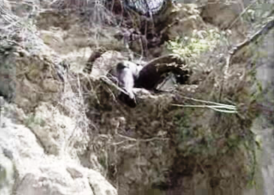 Portugueses assassinados em Angola