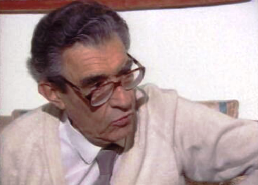 Polémica com artigo do Público