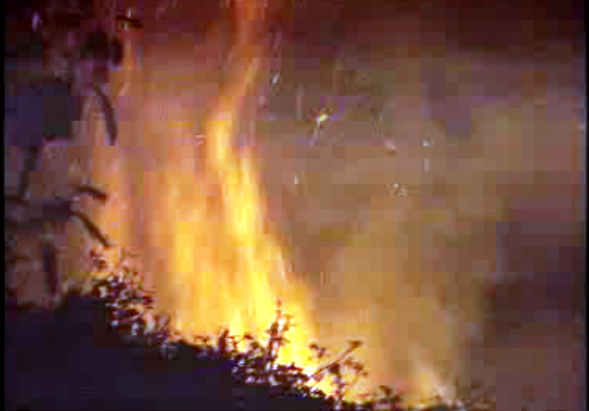 Incêndio na ilha da Madeira