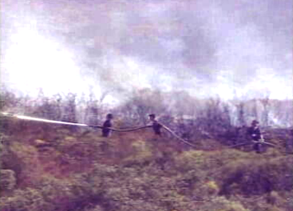 Incêndio na Arrábida