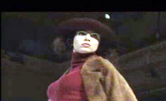 Carreira da modelo Lúcia Bentes