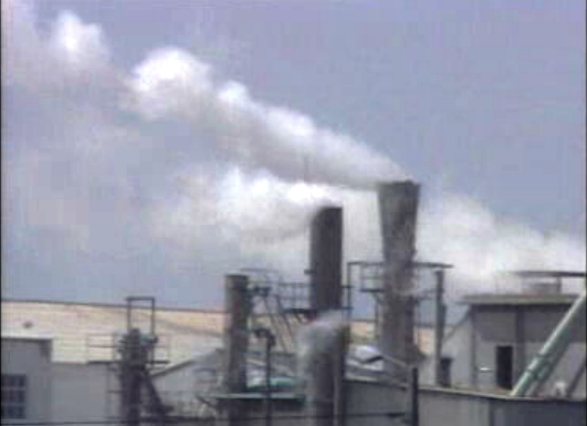 Vida Portuguesa: O Ambiente