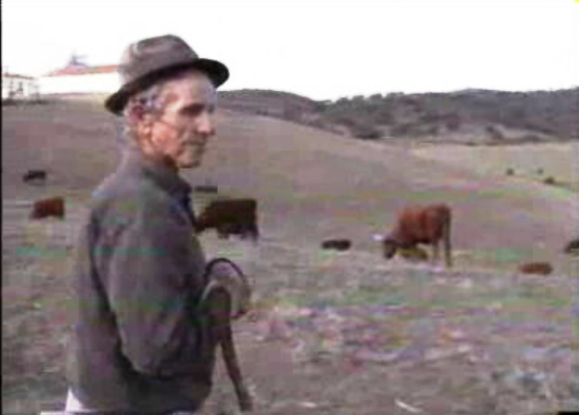 Crise agrícola no Alentejo