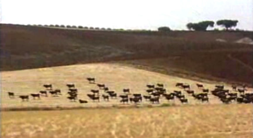 Retrospectiva da Reforma Agrária