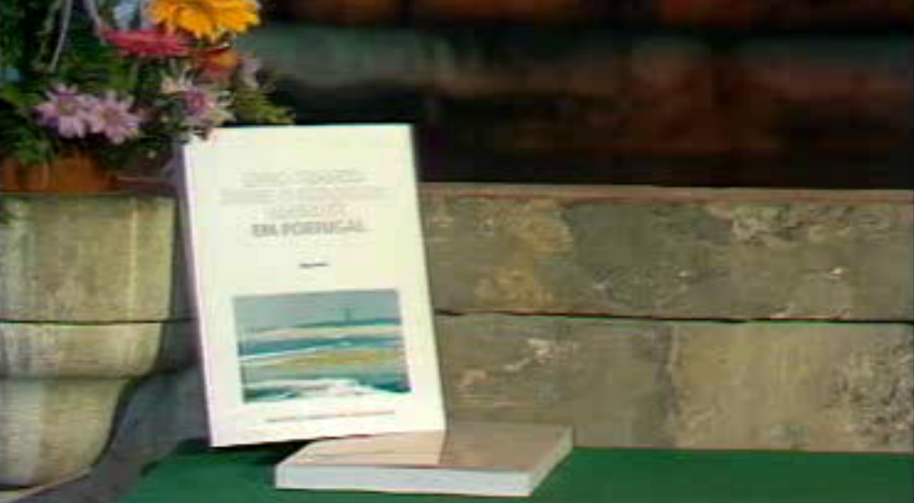 Livro Branco sobre o Ambiente