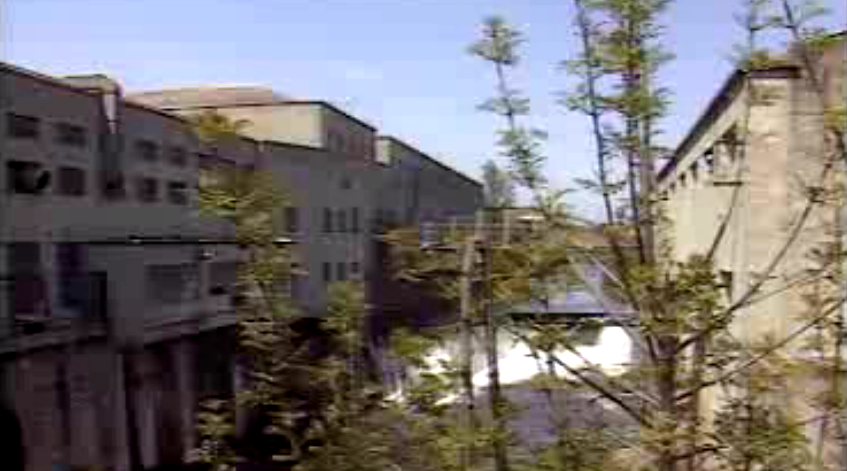 Vida Portuguesa: Crise em Tomar