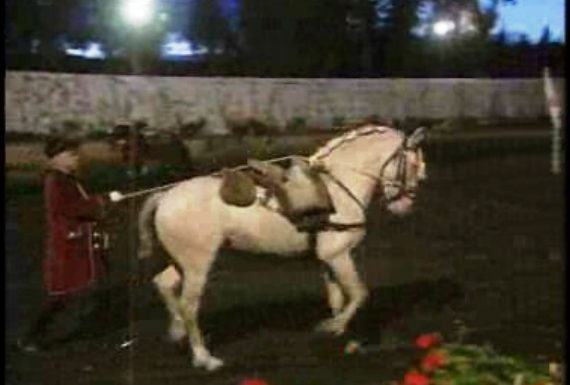 II Festival Internacional do Puro Sangue Lusitano