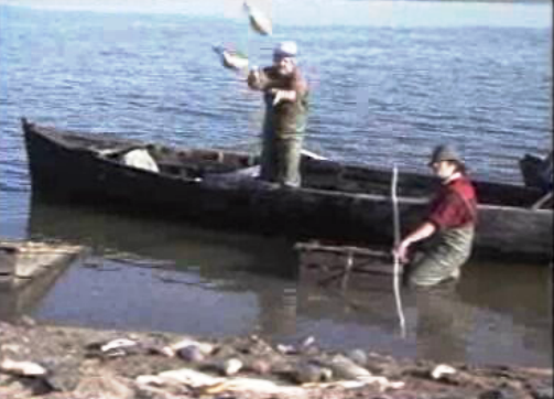 Morte de peixes na barragem do Maranhão