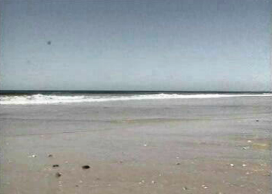 Declarações de Horácio Cavaco