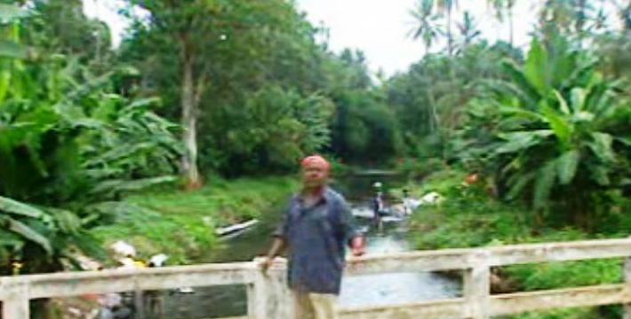 Na Roça com os Tachos