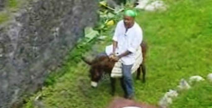 Na Roça com os Tachos