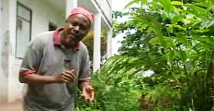 Na Roça com os Tachos