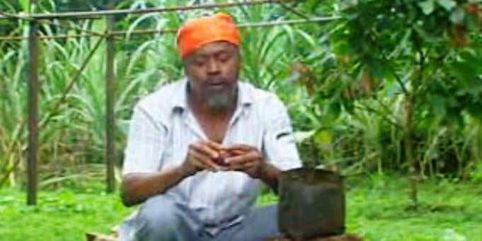 Na Roça com os Tachos