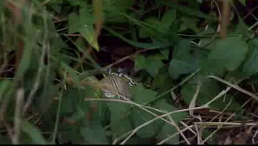 Nome de Código: Sintra – Episódio 05