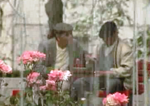 Suicídio no distrito de Beja