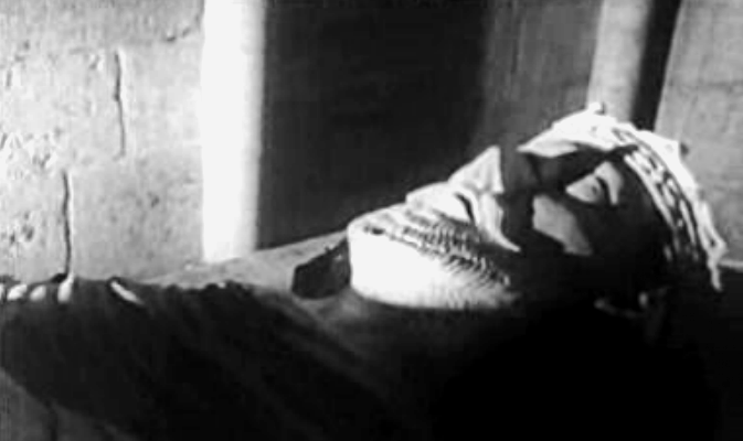 D. Pedro, Conde de Barcelos