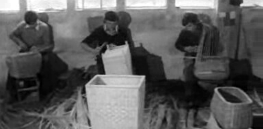 Uma Cooperativa na Beira Alta