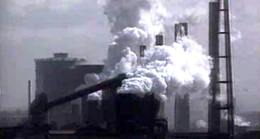 II Fórum Ecologista