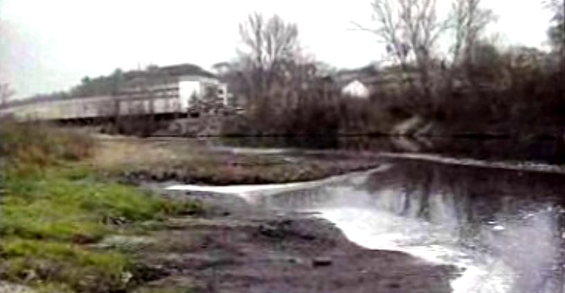 Dia Mundial do Ambiente