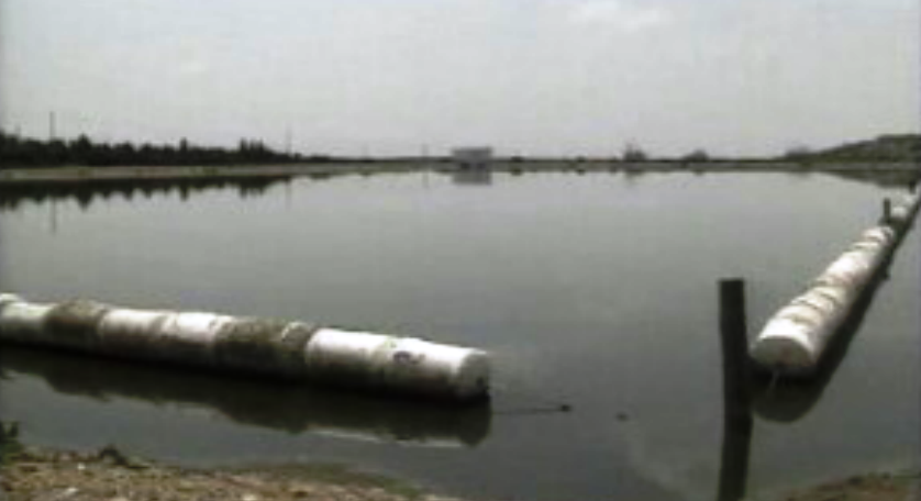 Combate aos mosquitos