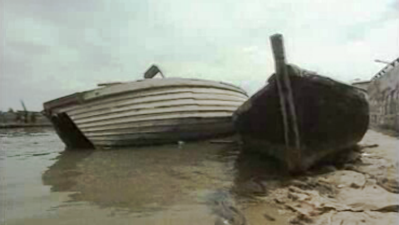 Futuro da pesca no Montijo
