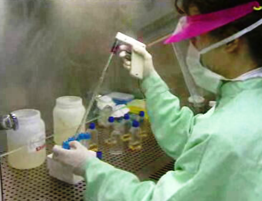 Versão portuguesa do AZT