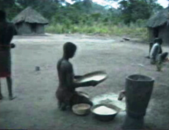 Projectos para desenvolvimento agrícola de Angola