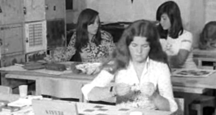 Sabe o que é a Sociedade Nacional de Belas Artes?