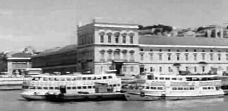 Sabe o que é um Estivador?