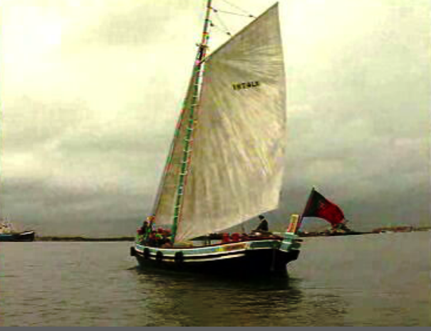 Estaleiros do Montijo em extinção