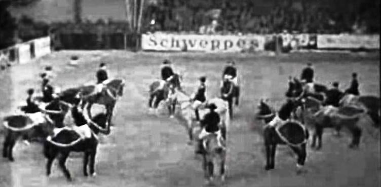 Sabe que existe o Museu do Cavalo?